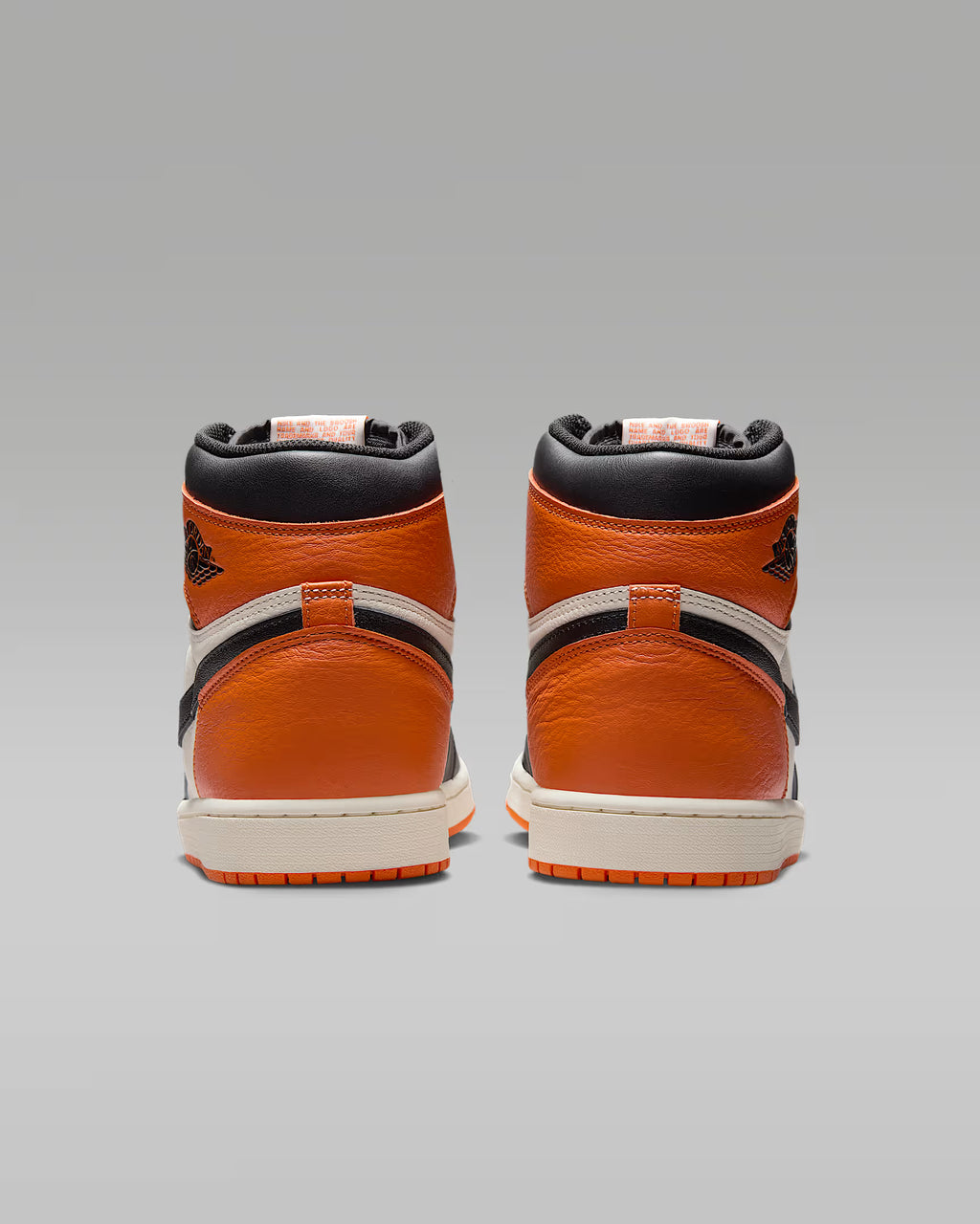 Air Jordan 1 Retro High OG 'Shattered Backboard'